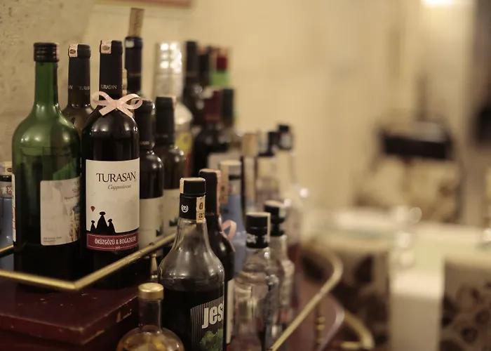 Hotel Yusuf Yigitoglu Konagi - Special Category